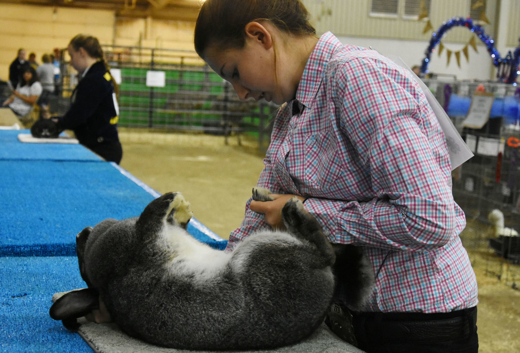 Rabbit Show